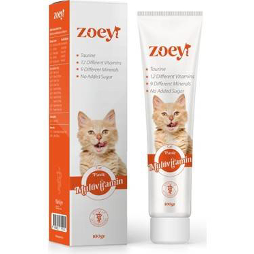 zoey multivitamin 100 gr resmi